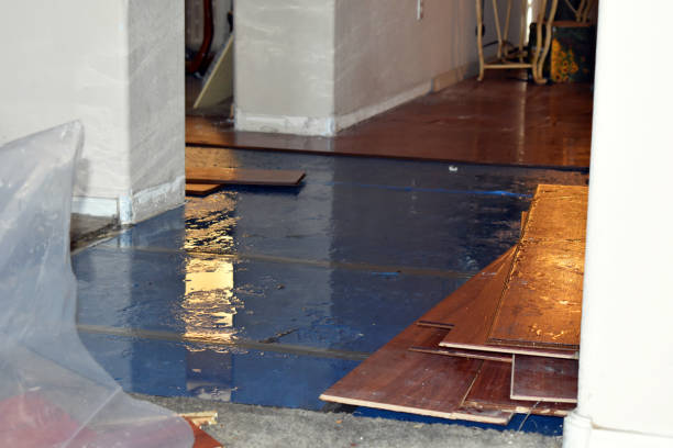 Professional Emergency Water Damage Restoration technician working in Medford, WI